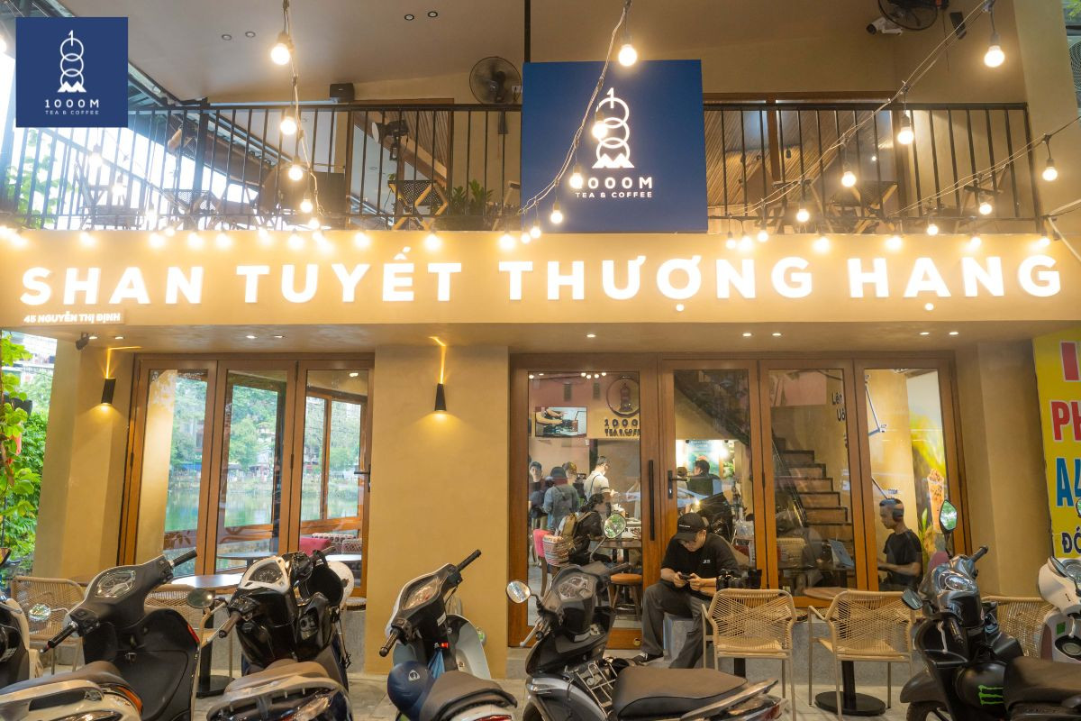 Cách tìm mua nguyên liệu trà Shan Tuyết chất lượng cao